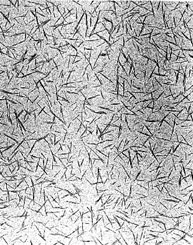 TEM  image of dilute suspension on carbon grid.  Typical nanocrystal dimensions, 200 nm  long, 10 nm wide.