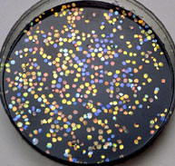 Confetti-sized  discs of chiral nematic cellulose film. Each colour was cast from suspensions with  different NaCl contents.